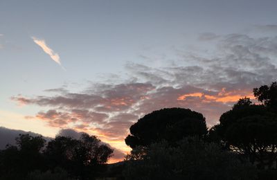 Le soir tombe, pâles couleurs du ciel 