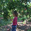 Apple Picking!