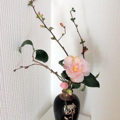 Des bouquets divers et variés