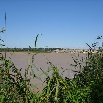 Ambes-bouliac-Floirac : l'itinéraire de la nostalgie (27 août 2010)