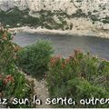 Morgiou, la calanque et le cap 