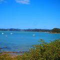 Paihia, Cape Reinga, Bay of Island !!!