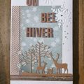 Mini album "Un bel hiver" créativa de Rouen 