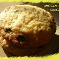 American cookies de Misscricri et référencement sur Blog-actu