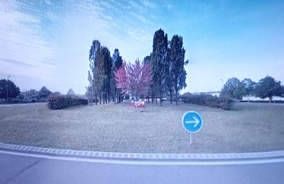 Rond-point à Thionville (57100)
