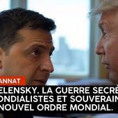 " Trump/Zelensky, la guerre secrète entre mondialistes et souverainistes pour le Nouvel Ordre Mondial ". L'édito de Charles SANNAT - Insolentiae