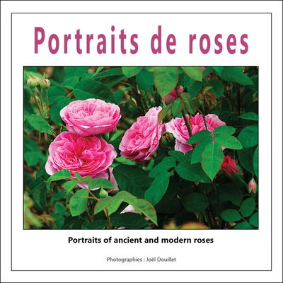 Portraits de roses