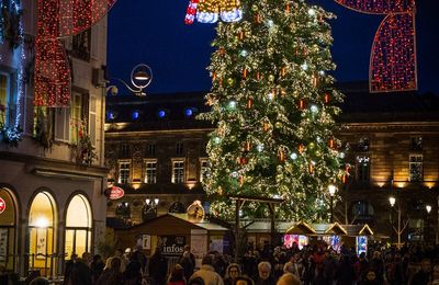 Le grand sapin de la capitale de Noël