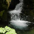 Randonnée Accompagnée Vercors - Gorges du Bruyant et Bec de l'Aigle (Lans en Vercors)