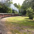 puffing billy suite