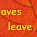 Leaves leave