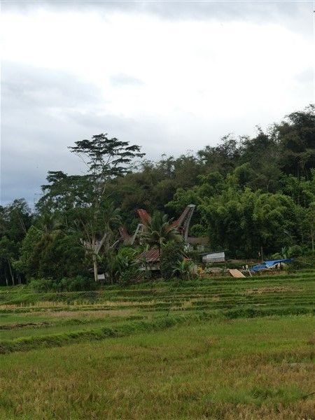 P1280818
