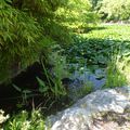 Le jardin aquatique "Les fleurs au fil de l'eau" ressenti par Mme Anzalone