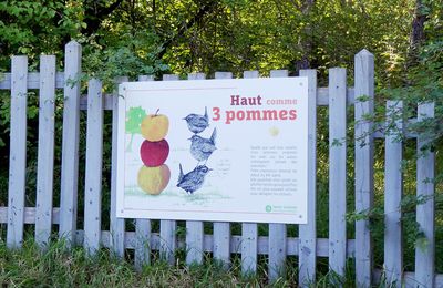 L'Expo'tagère au centre Terre Vivante !