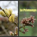 Le printemps est là...