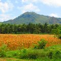 Sud ouest de Lombok 08 et 09 août