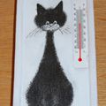 Thermomètre chat