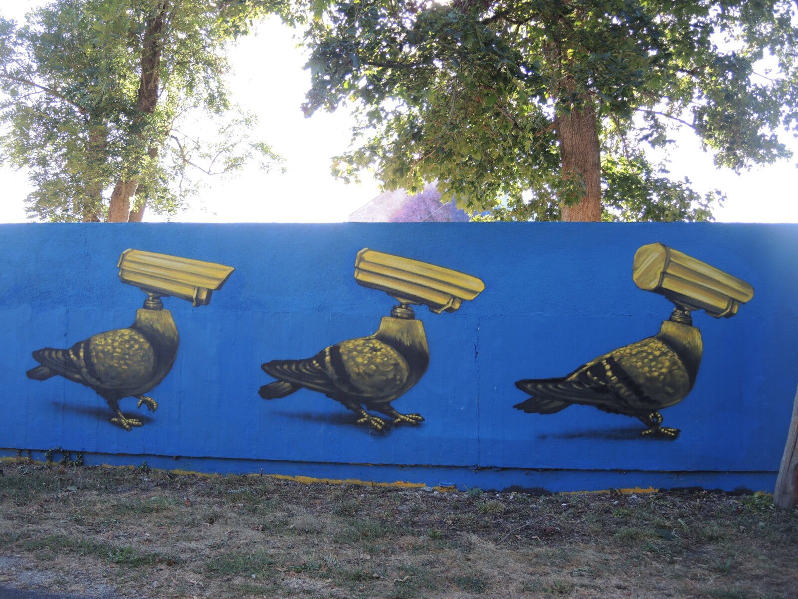 Lurcy-Levis, Street art city, le mur. (03)