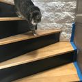 Travaux - Déco #2 : la montée d'escalier.