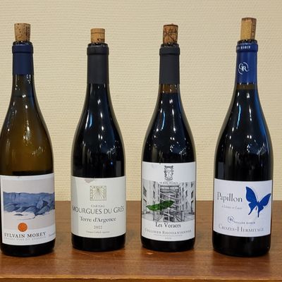 Dégustation de novembre 2025