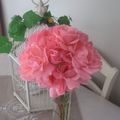 LES ROSES DE MON JARDIN