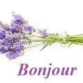 sachets senteur