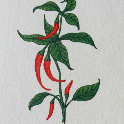 CONTES AUX PARFUMS D'UN INDE SACREE / CONTES ET MYSTERES D'UNE INDE ETERNELLE