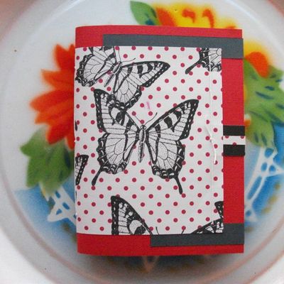 Et une p'tite commande et une!Des papillons pour une volante......