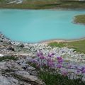 Le lac Blanc, randonnée, Pralognan la Vanoise, 5*/6*