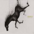 DARIA – Fall Not (2024)