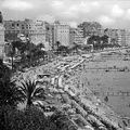 La Nuit de L'Envol. Partie 1. Cannes. Irène entre deux eaux.