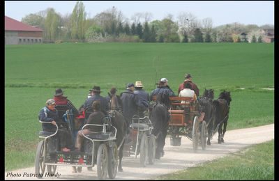 EQUI LIBRE à VILLACOURT le 21 avril 2013