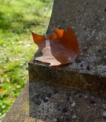 L'automne à la Grotte