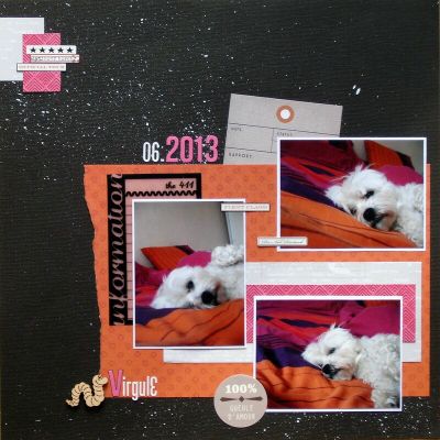 Virgule / Janvier 2013 / Printemps pyrénéen