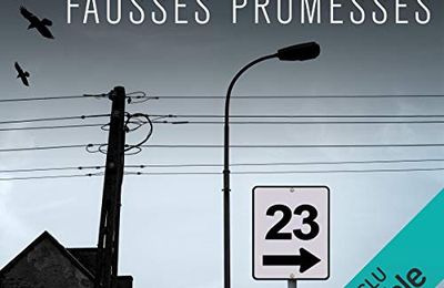 Fausses promesses (Promise Falls 1), de Linwood Barclay