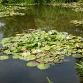 Un après-midi à Giverny