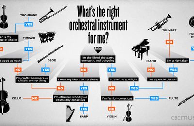 Quel instrument choisir ? (affiche humoristique anglophone pour la salle