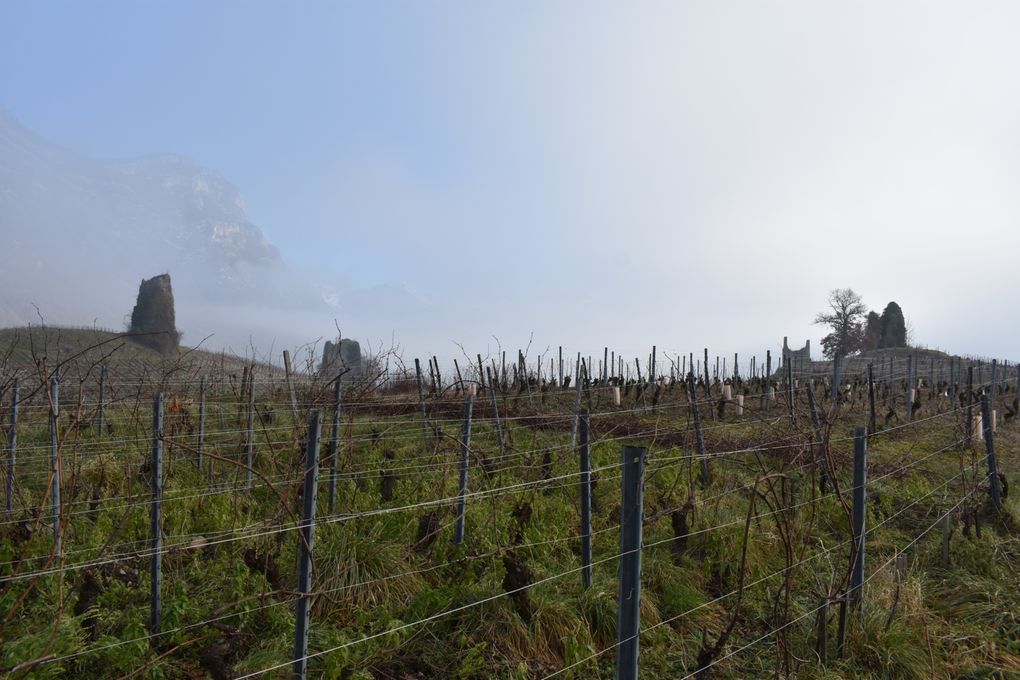Balade dans les vignes de Chignin (73)