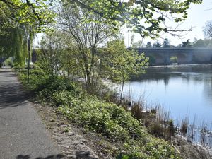 Sur les rives du Cher à Tours le 9 avril 2025