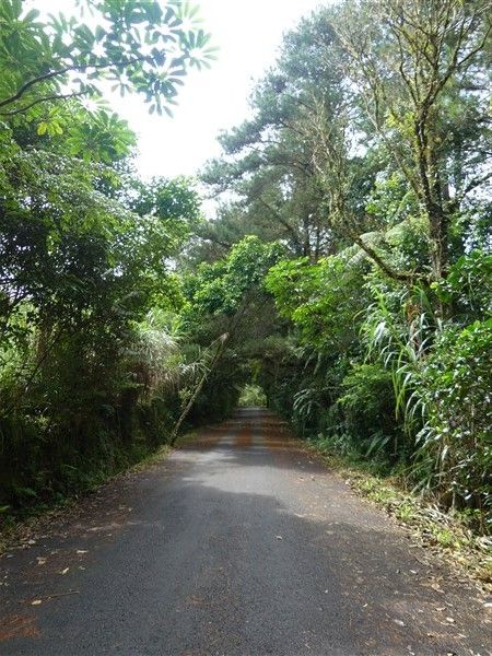 P1300050
