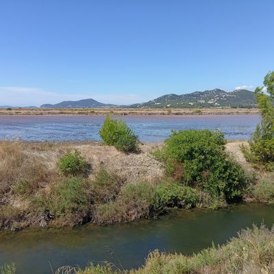 Les Salins .