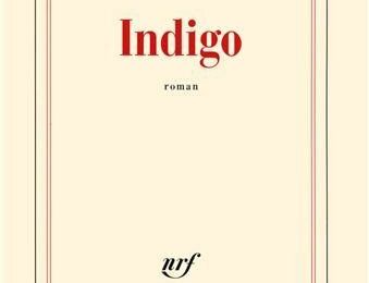 Indigo de Catherine CUSSET