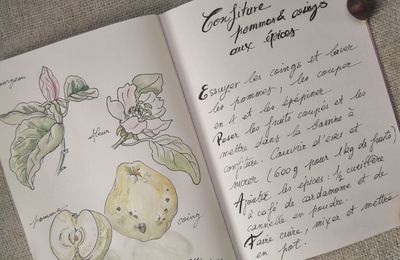 ♣Le coing, fruit d'automne