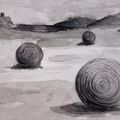 Dessins dirigés