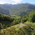 Accident de chasse mortel à Esparros : Pyrénées le divin enfant 
