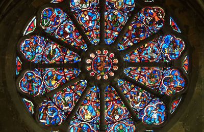Le Christ premier-né et principe d'une totalité unifiée