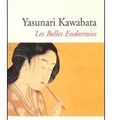 ~ Les Belles Endormies, Yasunari Kawabata