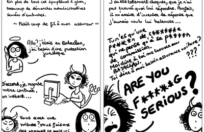 Chronique d'une survivante / le syndrome post-traumatique raconté avec humour et legereté