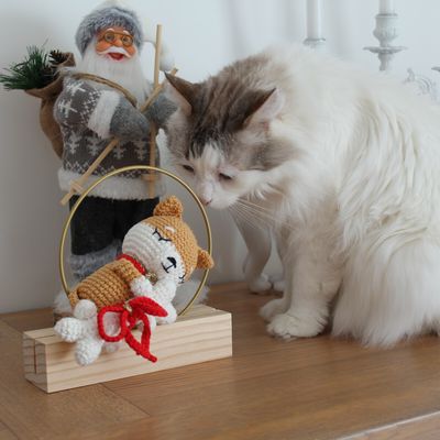 Dernières créas de l'hiver