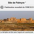 Palmyre sacrifiée à l'Etat islamique : la coalition internationale complice ? (VIDEO)
